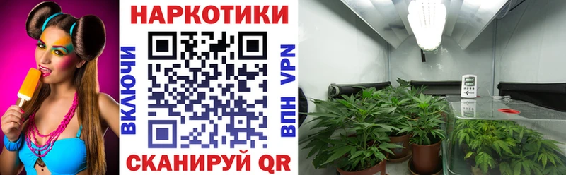 Купить наркотики цена Нерюнгри Псилоцибиновые грибы СК Мефедрон ГАШ