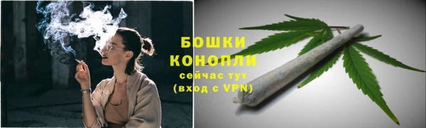 PSILOCYBIN Арсеньев