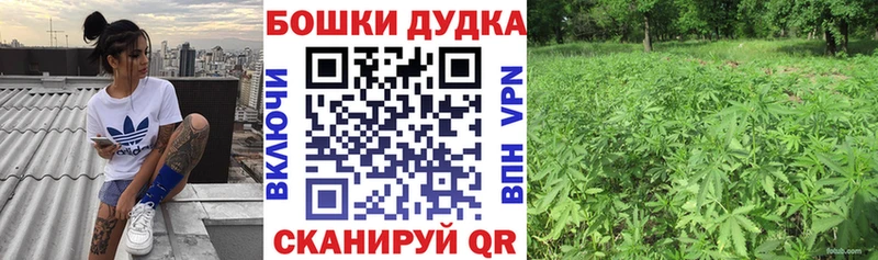 цена   Нерюнгри  Марихуана семена 